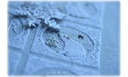 Modèle Points Comptés - Hiver Blanc
