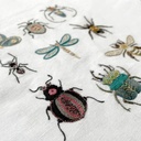 Kit Broderie - Easy Custo "Planche Petits Insectes - Taille L"