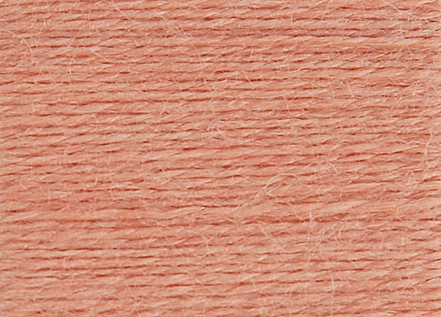 DMC Fil à Broder - Laine Eco Vita - Col. 301 Garance Litchi