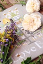 Modèle Points Comptés - Celebrate the Bees