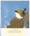 Livre Broderie "Broder les Oiseaux de Judy Wilford