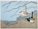 Livre Broderie "Broder les Oiseaux de Judy Wilford