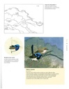 Livre Broderie "Broder les Oiseaux de Judy Wilford