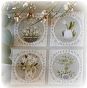 Modèle Points Comptés - Printemps Blanc