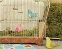 Modèle de Patchwork "SongBirds" EQP - PRECOMMANDE