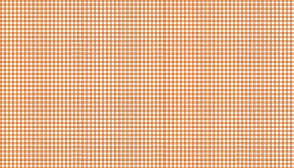 Tissu Patchwork Forest New Gingham Dusty Coral