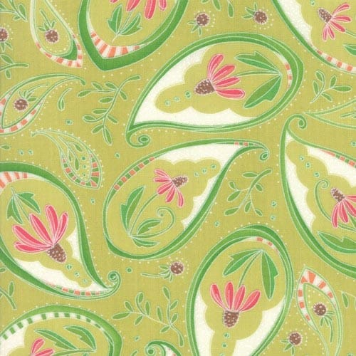 Tissu Patchwork Painted Meadow Coneflower Paisley, Coupon