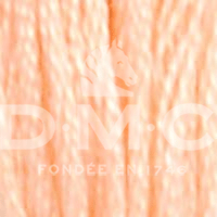 DMC Fil à Broder Mouliné Spécial 25 - Art. 117 _ C20