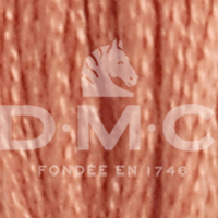 DMC Fil à Broder Mouliné Spécial 25 - Art. 117 _ C21