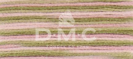 DMC Fil à Broder Mouliné Coloris - Art. 517 _ C4500