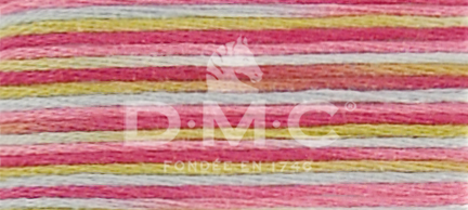 DMC Fil à Broder Mouliné Coloris - Art. 517 _ C4502