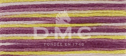 DMC Fil à Broder Mouliné Coloris - Art. 517 _ C4503