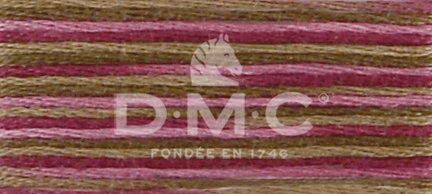 DMC Fil à Broder Mouliné Coloris - Art. 517 _ C4504