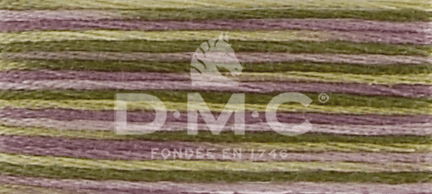 DMC Fil à Broder Mouliné Coloris - Art. 517 _ C4505