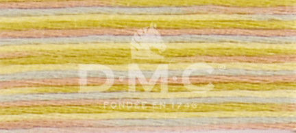 DMC Fil à Broder Mouliné Coloris - Art. 517 _ C4508