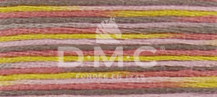 DMC Fil à Broder Mouliné Coloris - Art. 517 _ C4509