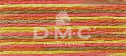 DMC Fil à Broder Mouliné Coloris - Art. 517 _ C4510