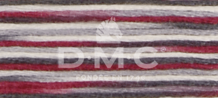 DMC Fil à Broder Mouliné Coloris - Art. 517 _ C4513