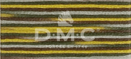 DMC Fil à Broder Mouliné Coloris - Art. 517 _ C4521