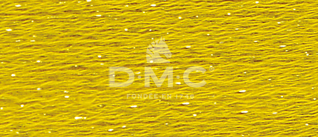 DMC Fil à Broder Mouliné Etoile - Art. 617 _ C444