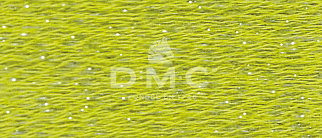 DMC Fil à Broder Mouliné Etoile - Art. 617 _ C907