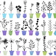 Tissu Patchwork Sunday Afternoon, Plante