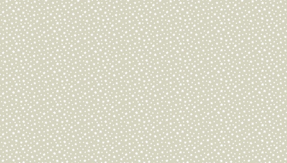 Tissu Patchwork Essentials _ Star Oyster