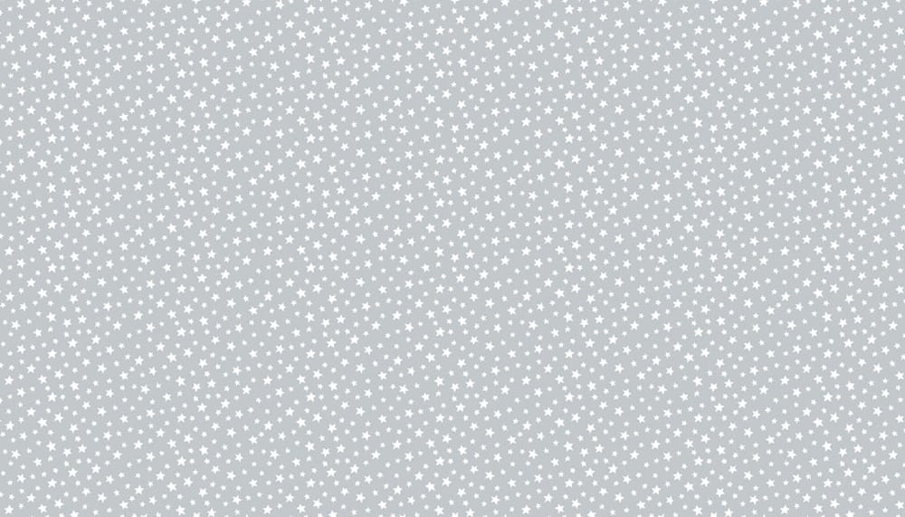 Tissu Patchwork Essentials _ Star Pewter