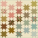 Modèle Patchwork Sewing Star "Primrose" de Edyta Sitar