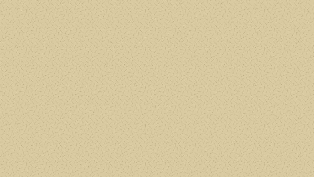 Tissu Patchwork Bijoux _ Arrow Chai, Coupon