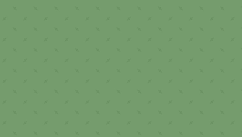 Tissu Patchwork Bijoux _ Pennant Eucalyptus, Coupon