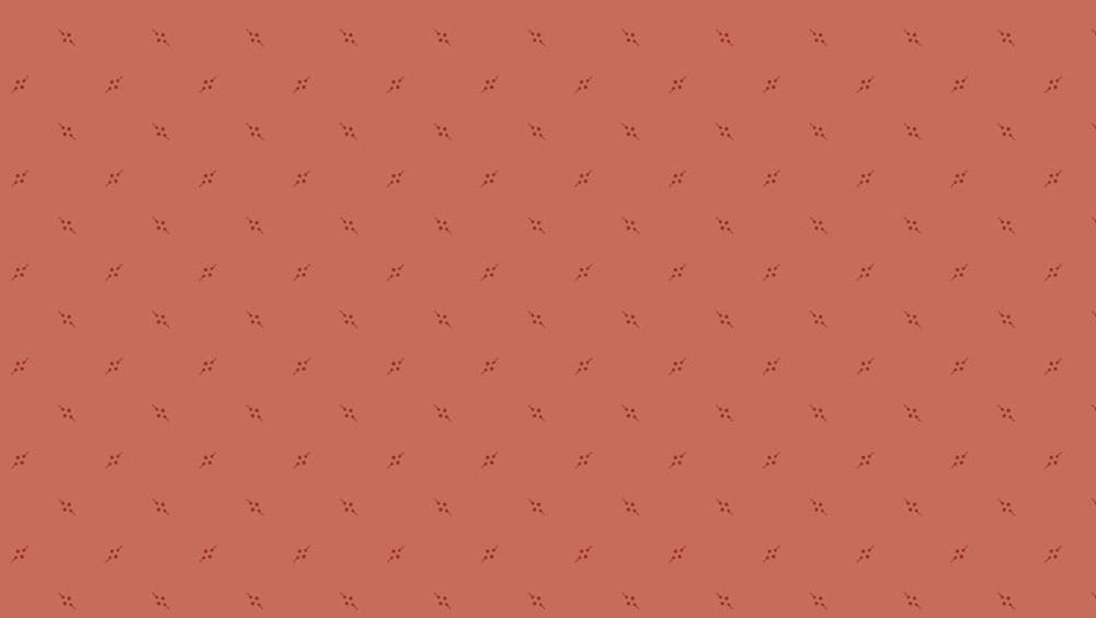 Tissu Patchwork Bijoux _ Pennant Grapefruit