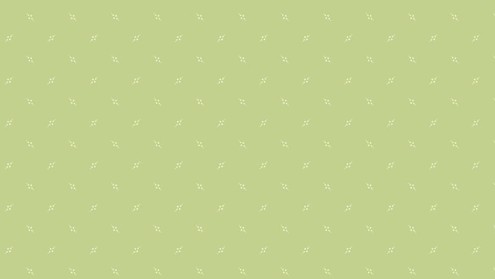 Tissu Patchwork Bijoux _ Pennant Asparagus, Coupon