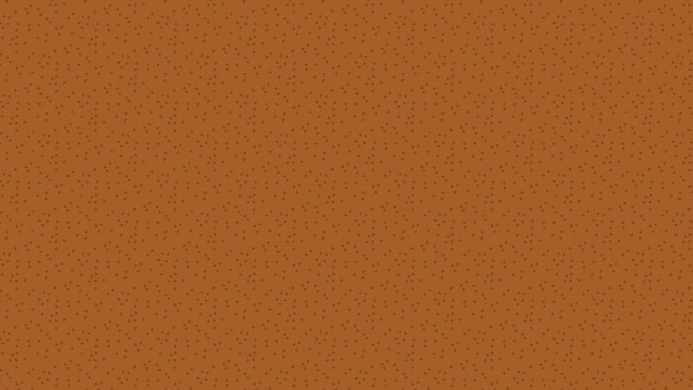 Tissu Patchwork Bijoux _ Petal Sedona, Coupon