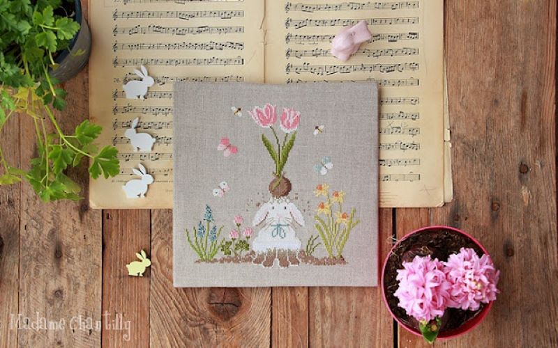 Modèle Points Comptés - Curious Rabbit