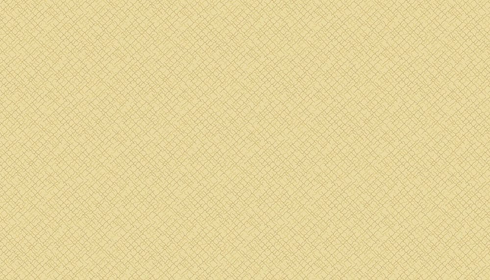 Tissu Patchwork Trinket 2020 _ Weave Tan